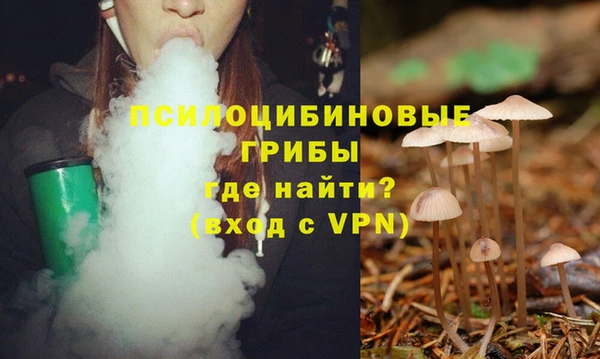 синтетический гашиш Ладушкин