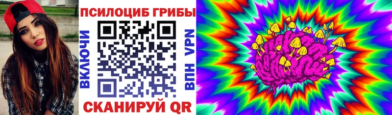 ОМГ ОМГ зеркало  закладка  Сосновоборск  Псилоцибиновые грибы MAGIC MUSHROOMS 
