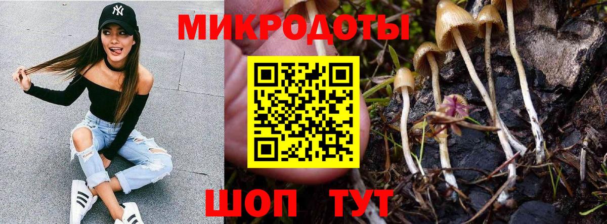 Галлюциногенные грибы ЛСД Сосновоборск
